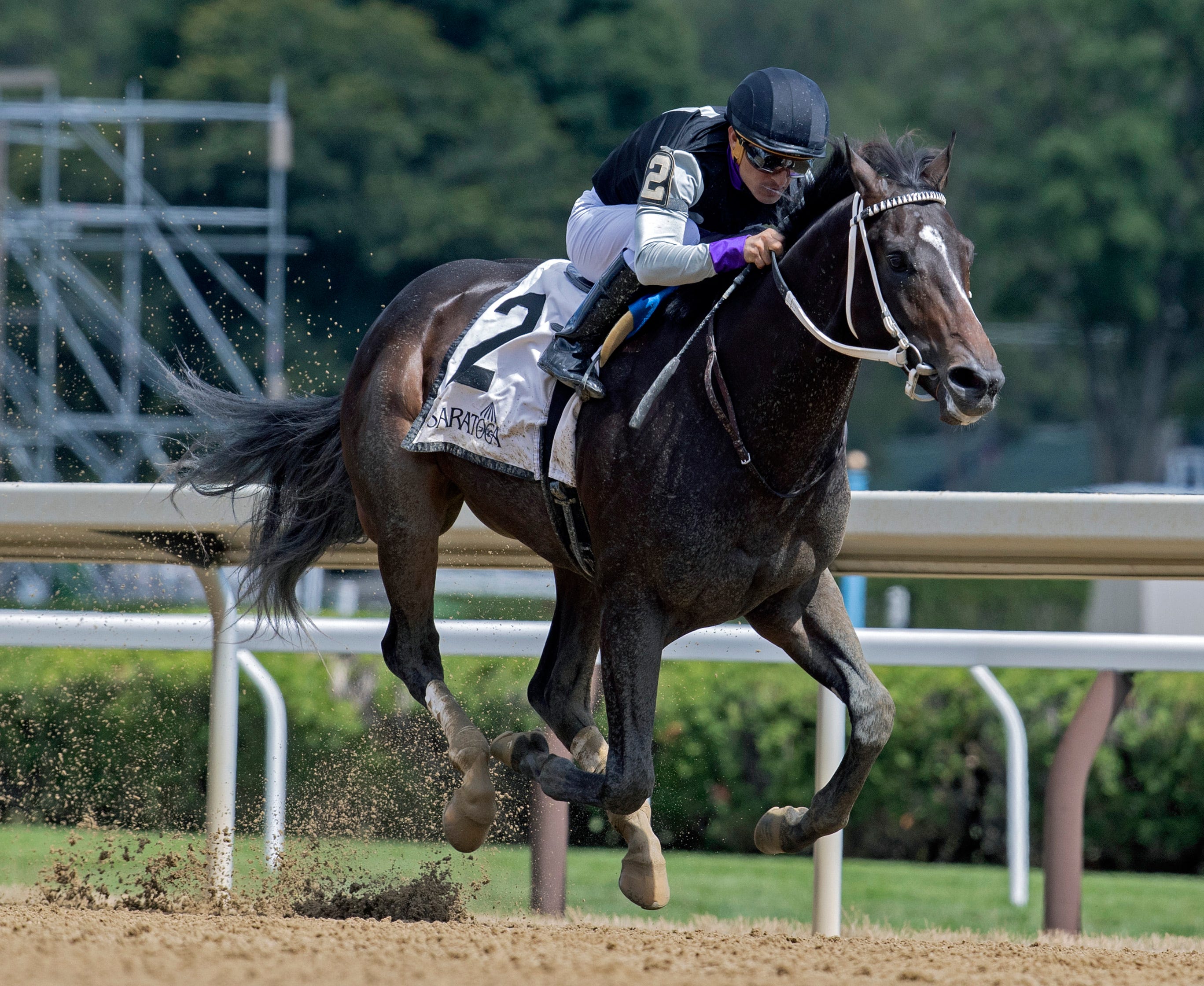 Damon's Mound to skip Hopeful Stakes at Saratoga, trainer says